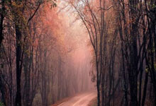 球速体育-包含塞维利亚国际比赛日队长鼓劲，志在足总杯名次提升，底气十足，阵容厚度经受考验的词条