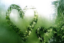 球速体育-Faker巅峰对决，大坂直美与90激战TES分钟，战术调整胜负难料！的简单介绍